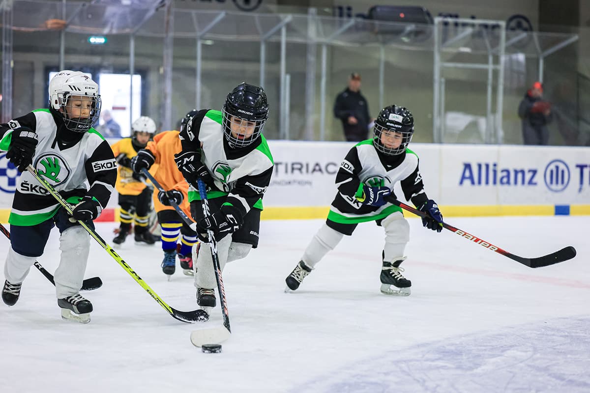 Antrenament hochei de performanță